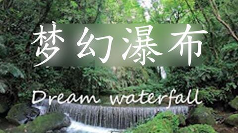 花开有期 阅读有你——非遗传承花艺走进西街城市书房